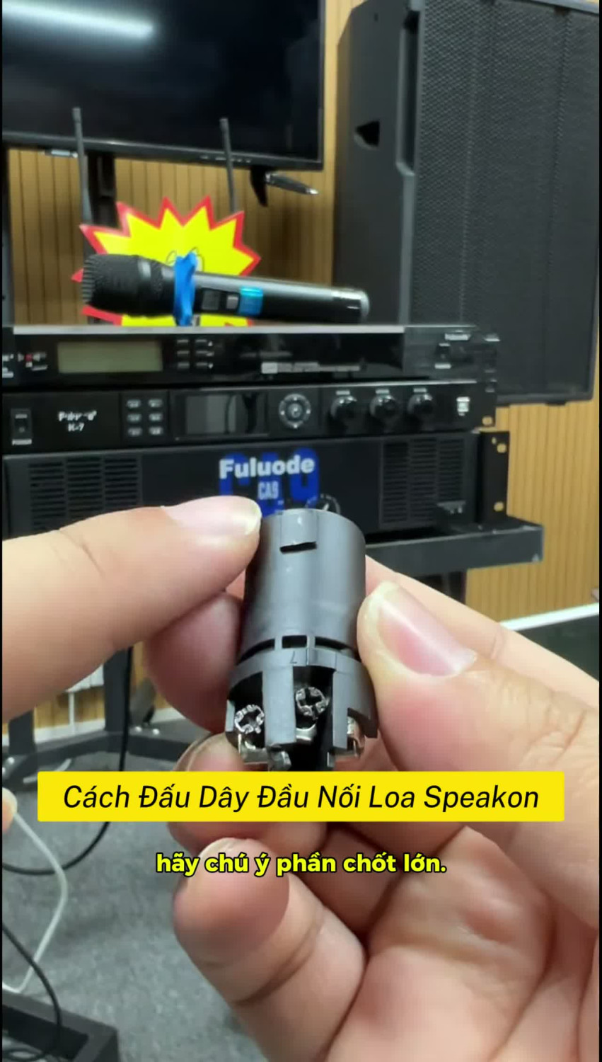 Cách Đấu Dây Đầu Nối Loa Speakon