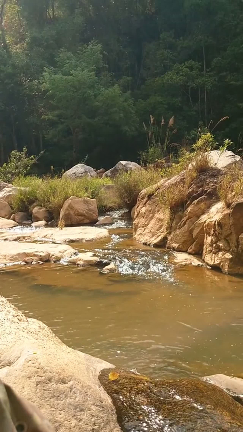 Thiên nhiên tươi đẹp