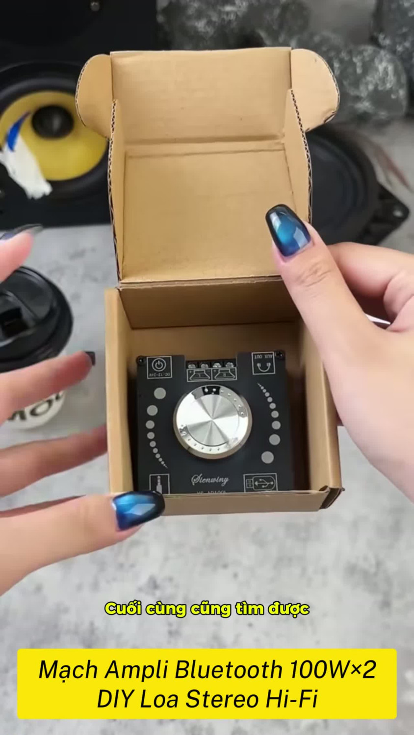 Mạch ampli TPA3116D2 AP100L/AP100H 100Wx2, Bluetooth stereo Hi-Fi cho DIY và nâng cấp dàn loa